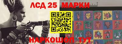 гашик Будённовск
