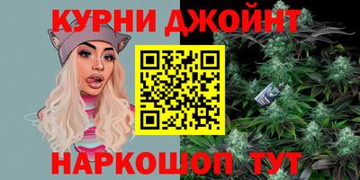 гашик Будённовск