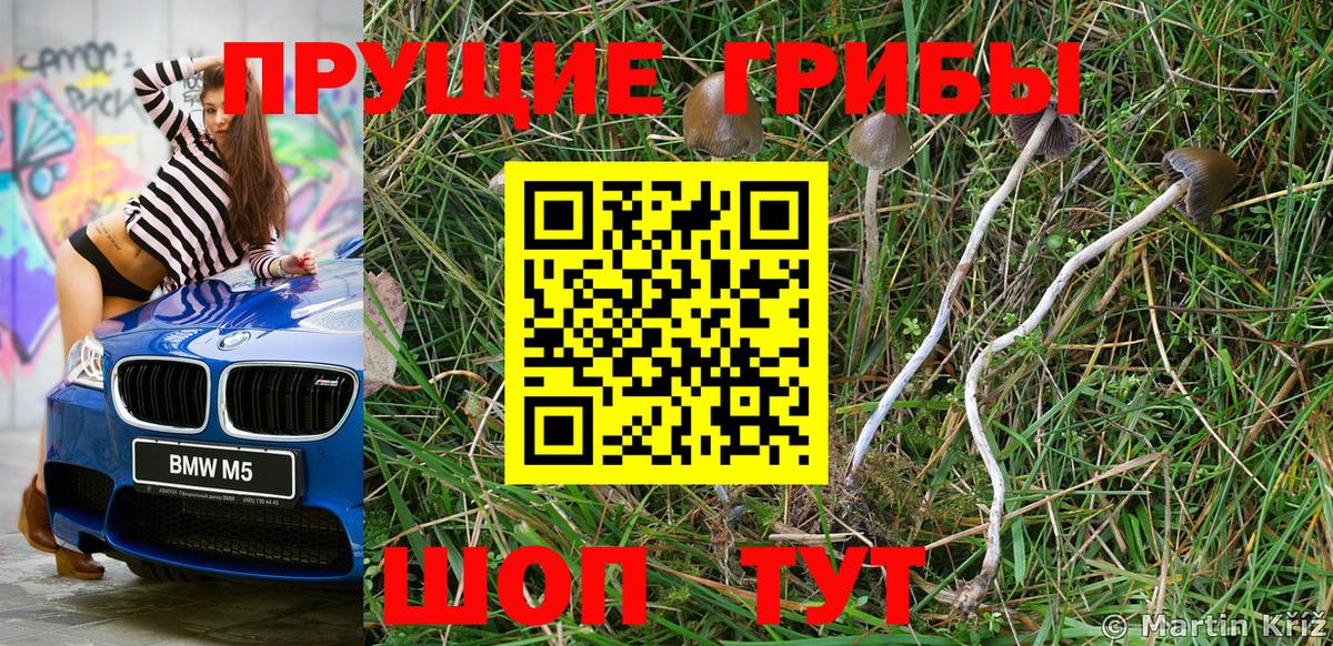 Волгоград  Псилоцибиновые грибы GOLDEN TEACHER  Вход с VPN 