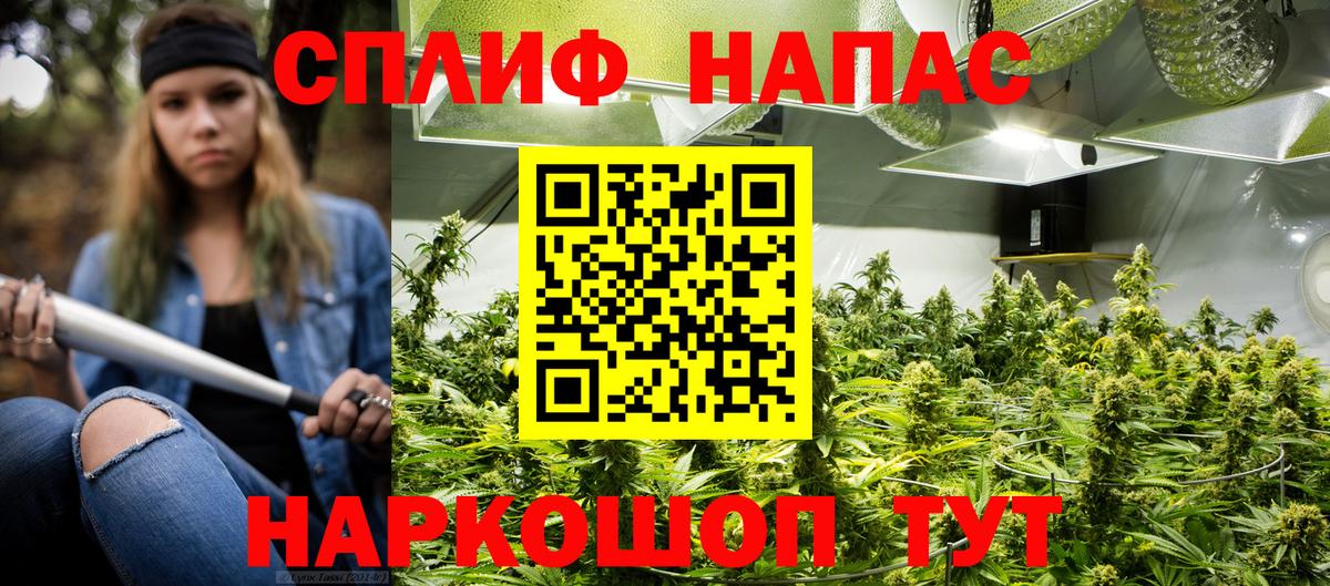 Бошки марихуана конопля  Шишки марихуана индика  Волгоград  Вход с VPN  Марихуана White Widow 