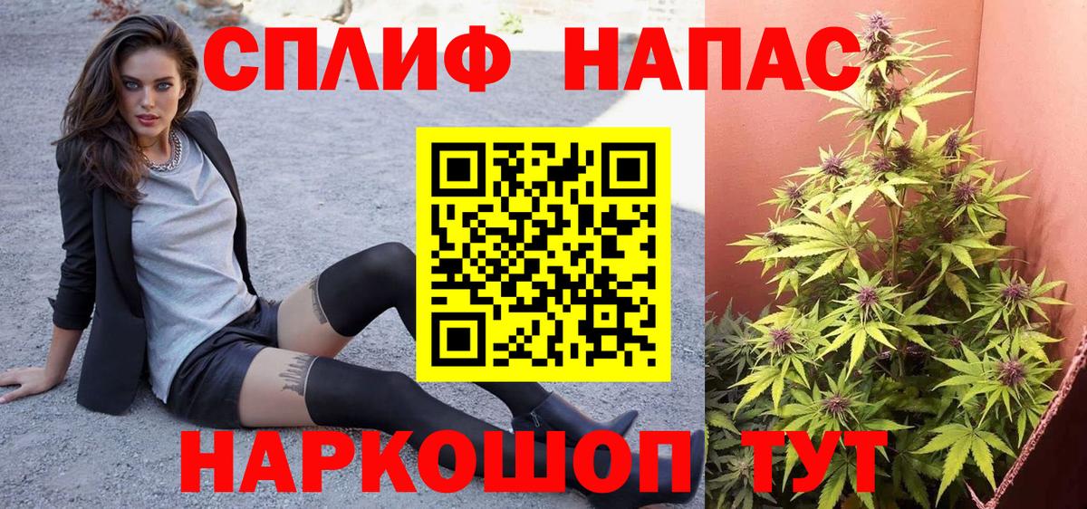 Шишки марихуана конопля Волгоград